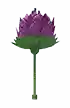 Artichoke