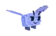Moth