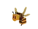 Wasp