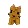 Orange Tabby